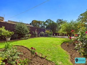 Garden - click for photo gallery